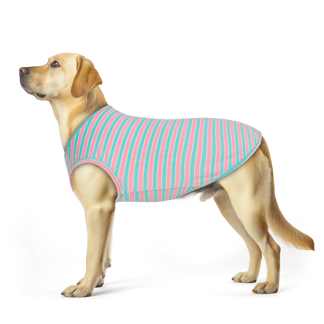 Teal-and-pink striped sleeveless lightweight dog shirt with dog-bone patch