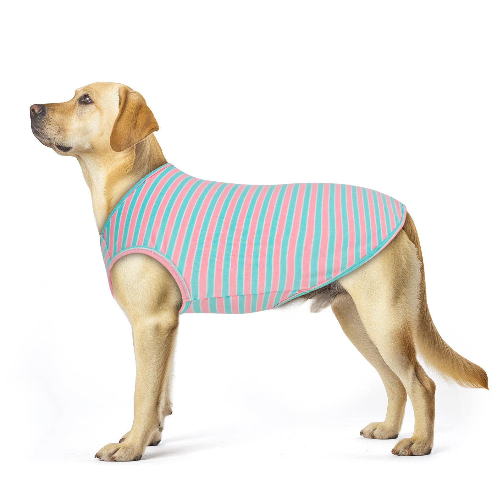 Teal-and-pink striped sleeveless lightweight dog shirt with dog-bone patch