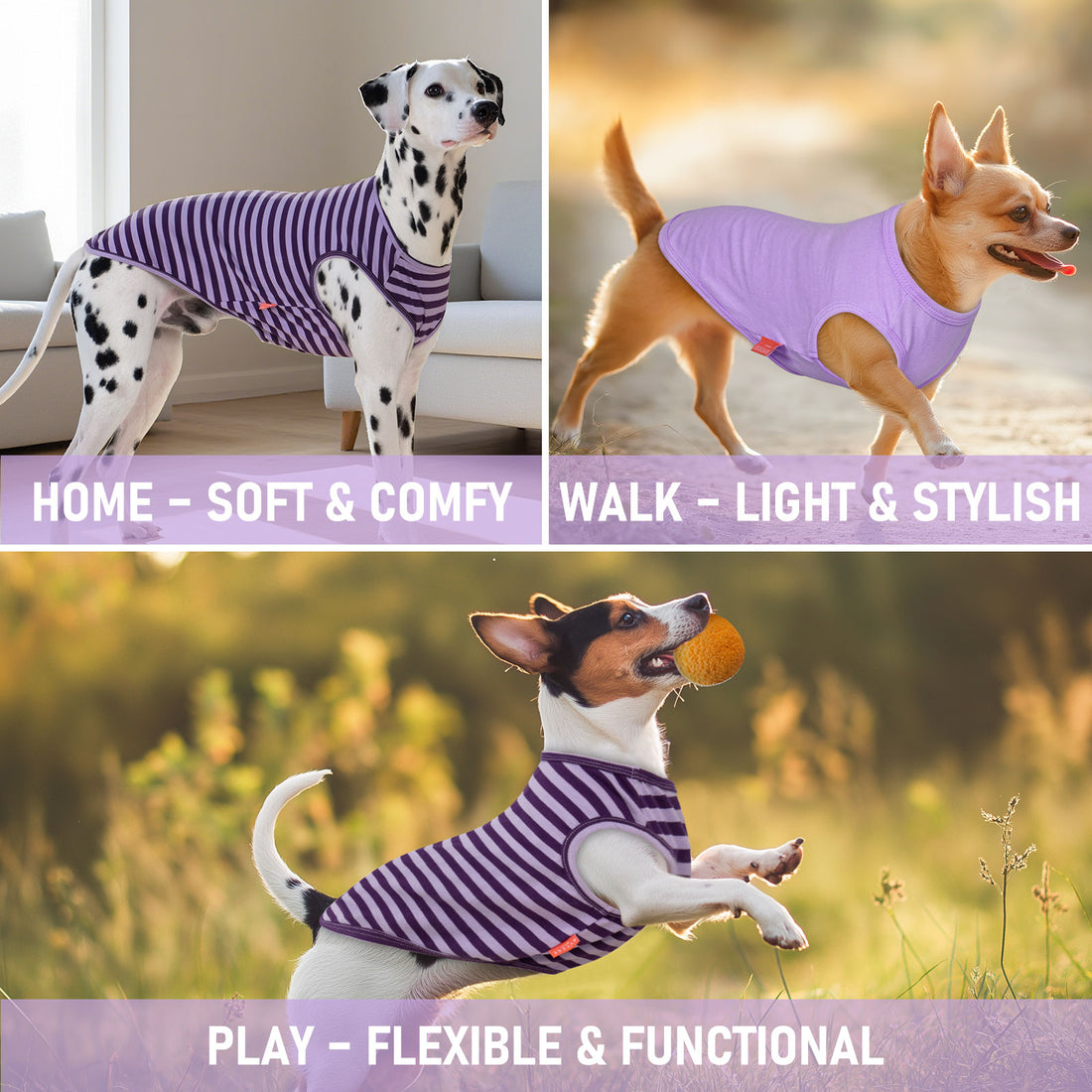 Purple sleeveless striped dog shirt on small dog, front view