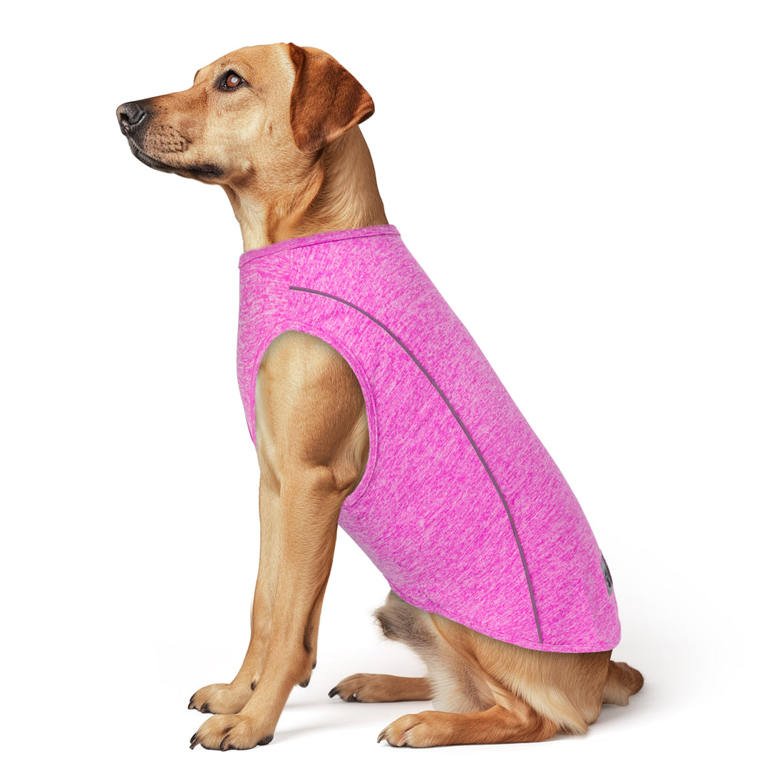Pink heather reflective dog shirt, side view on a brown dog with curved reflective trim