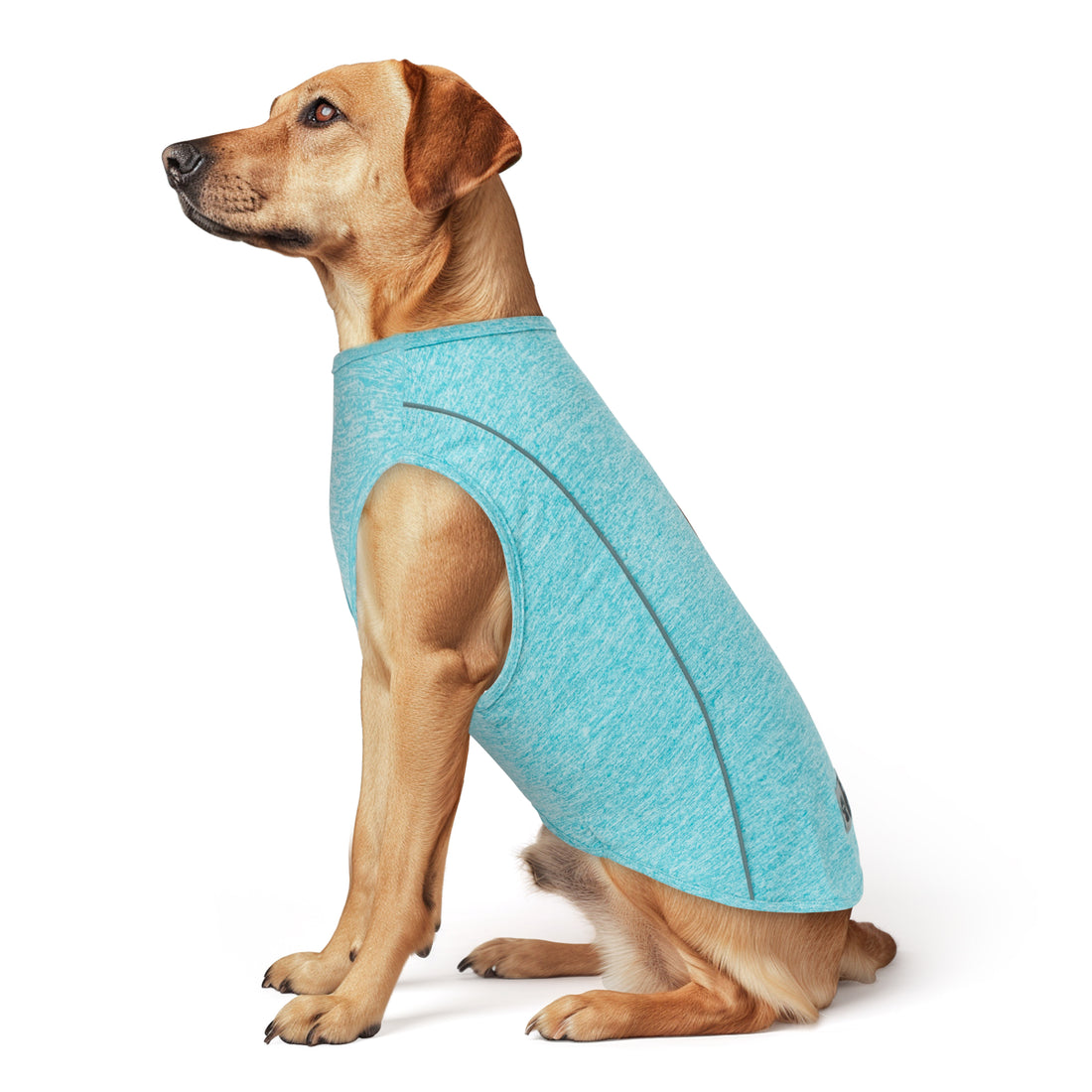 Turquoise reflective sleeveless dog shirt with curved seam lines