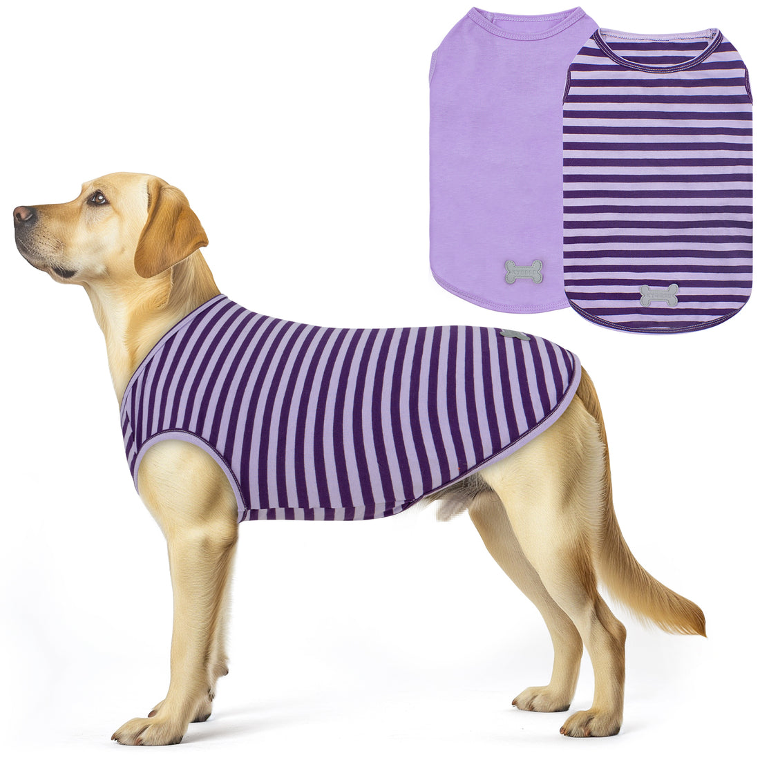 Purple striped sleeveless dog shirt with matching solid purple pocket panel