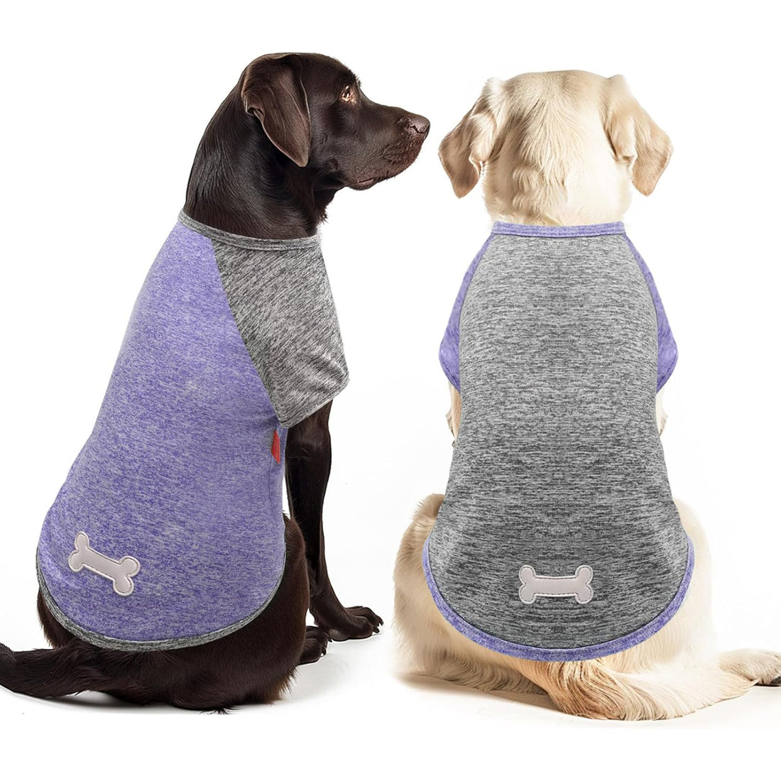 Two lightweight dog shirts on dogs: purple and heather gray with bone logo patches.