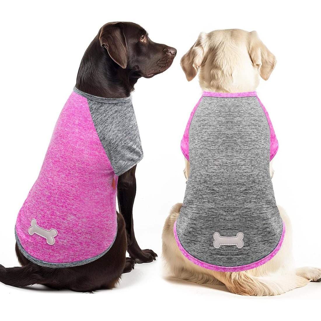 Lightweight dog raglan shirt 2-pack in heather pink and gray with bone applique and trim