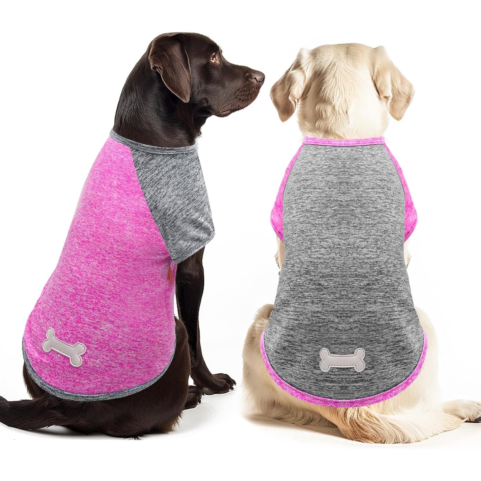 Lightweight dog raglan shirt 2-pack in heather pink and gray with bone applique and trim