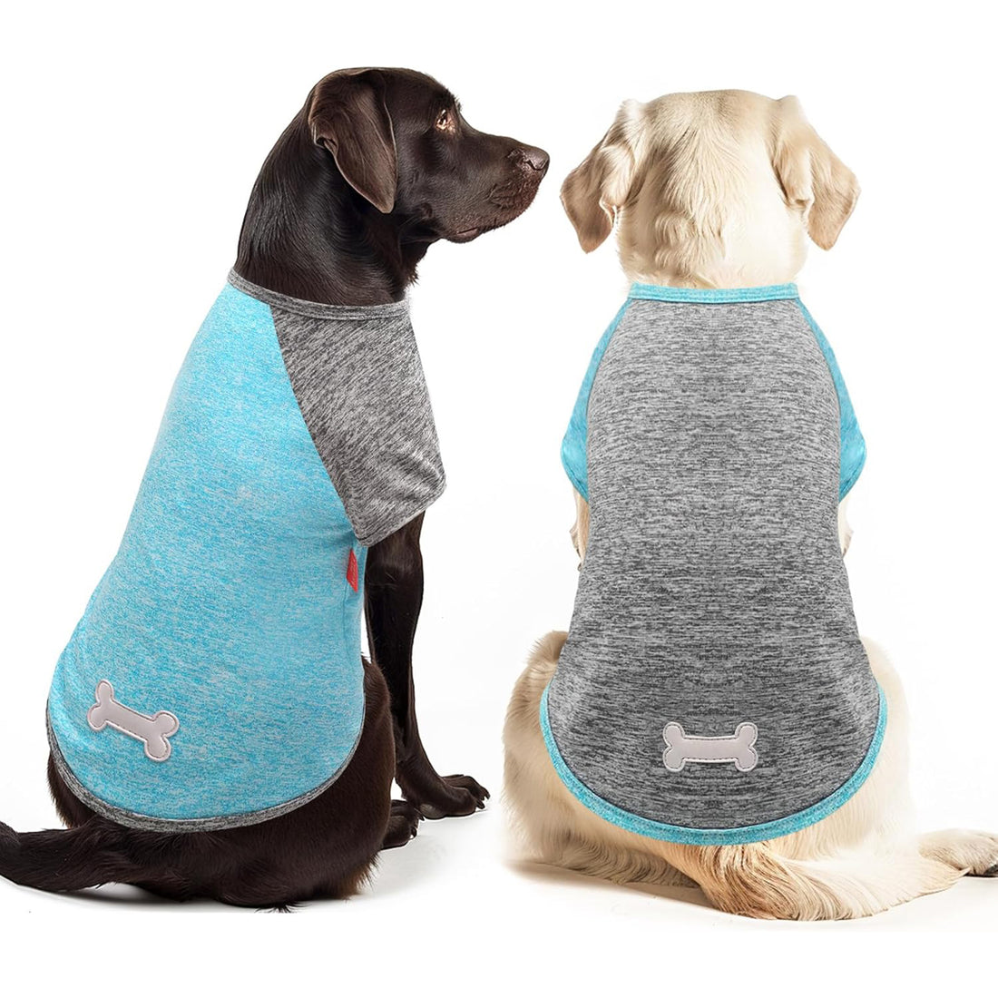 Lightweight dog raglan shirt 2-pack in heather blue and gray with bone applique and contrasting trim
