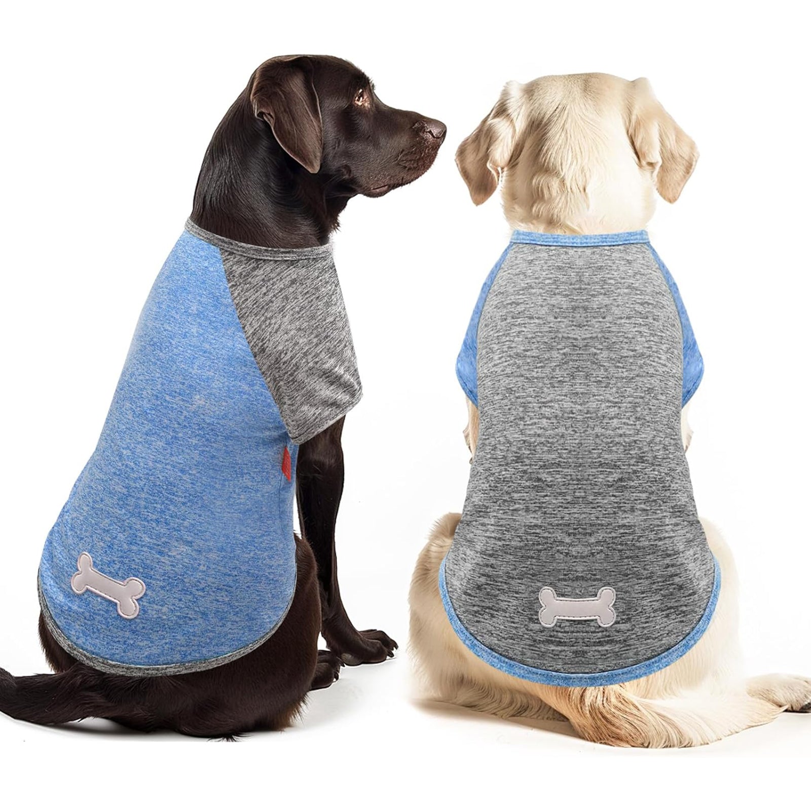 Lightweight dog raglan shirt 2-pack in heather blue and gray with bone applique and trim
