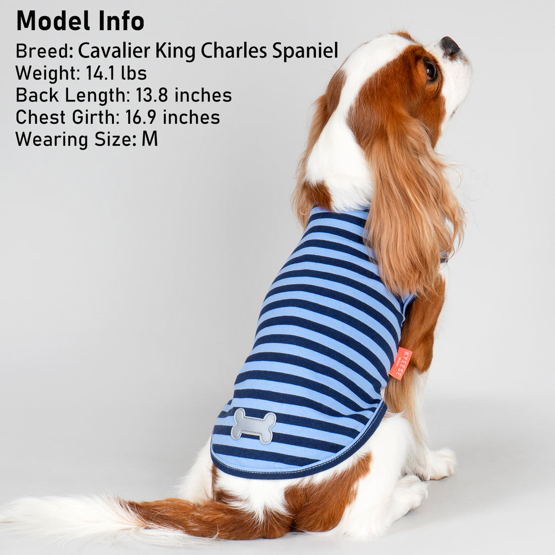 Blue striped sleeveless lightweight dog shirt with dog-bone patch detail