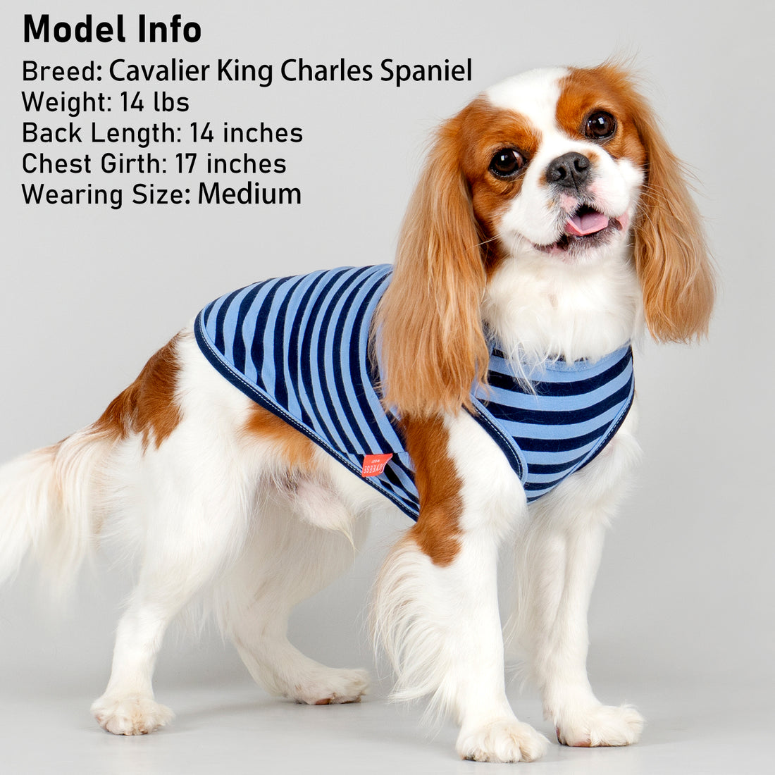 Navy-and-blue striped sleeveless dog shirt with gray bone patch