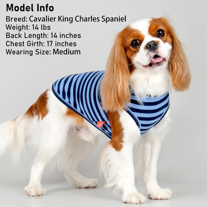 Navy-and-blue striped sleeveless dog shirt with gray bone patch