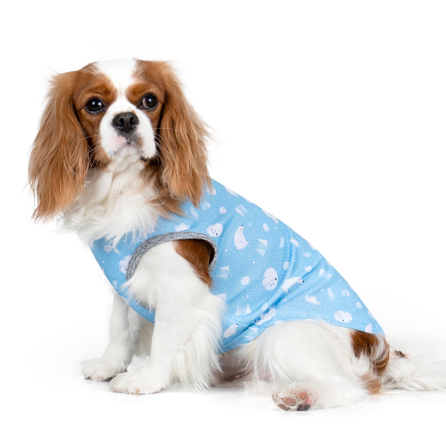 Light blue dog cooling shirt with white ice pattern, side openings for legs and head