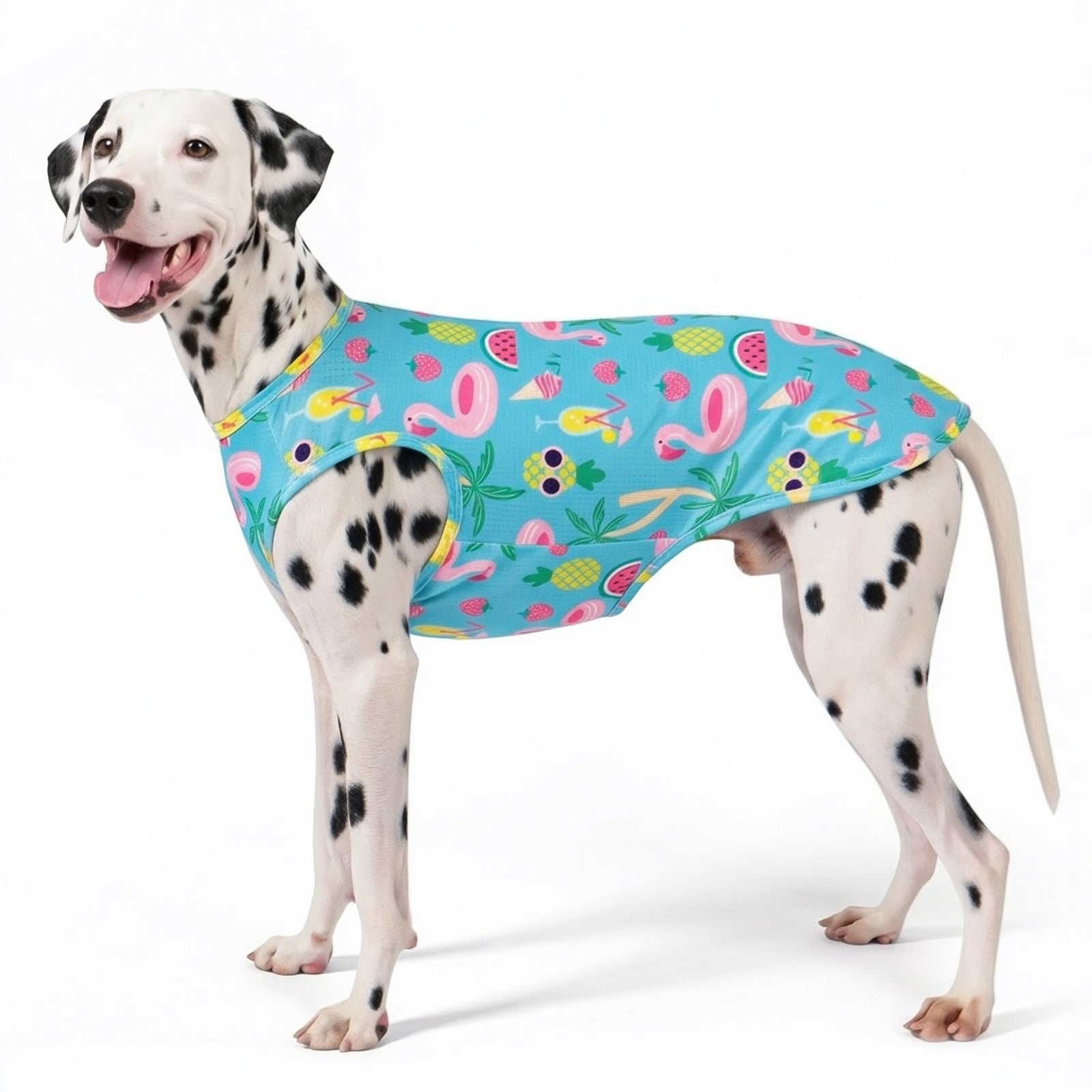 Mesh breathable dog shirt in turquoise with fruit pattern, sleeveless, dog wearing it