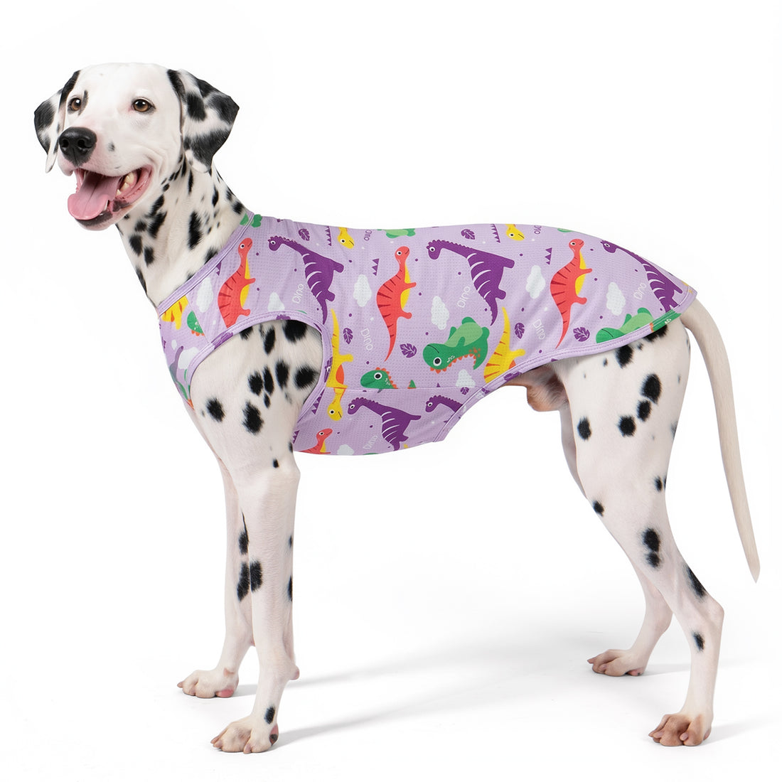 Purple mesh dinosaur dog shirt with colorful print and front arm openings