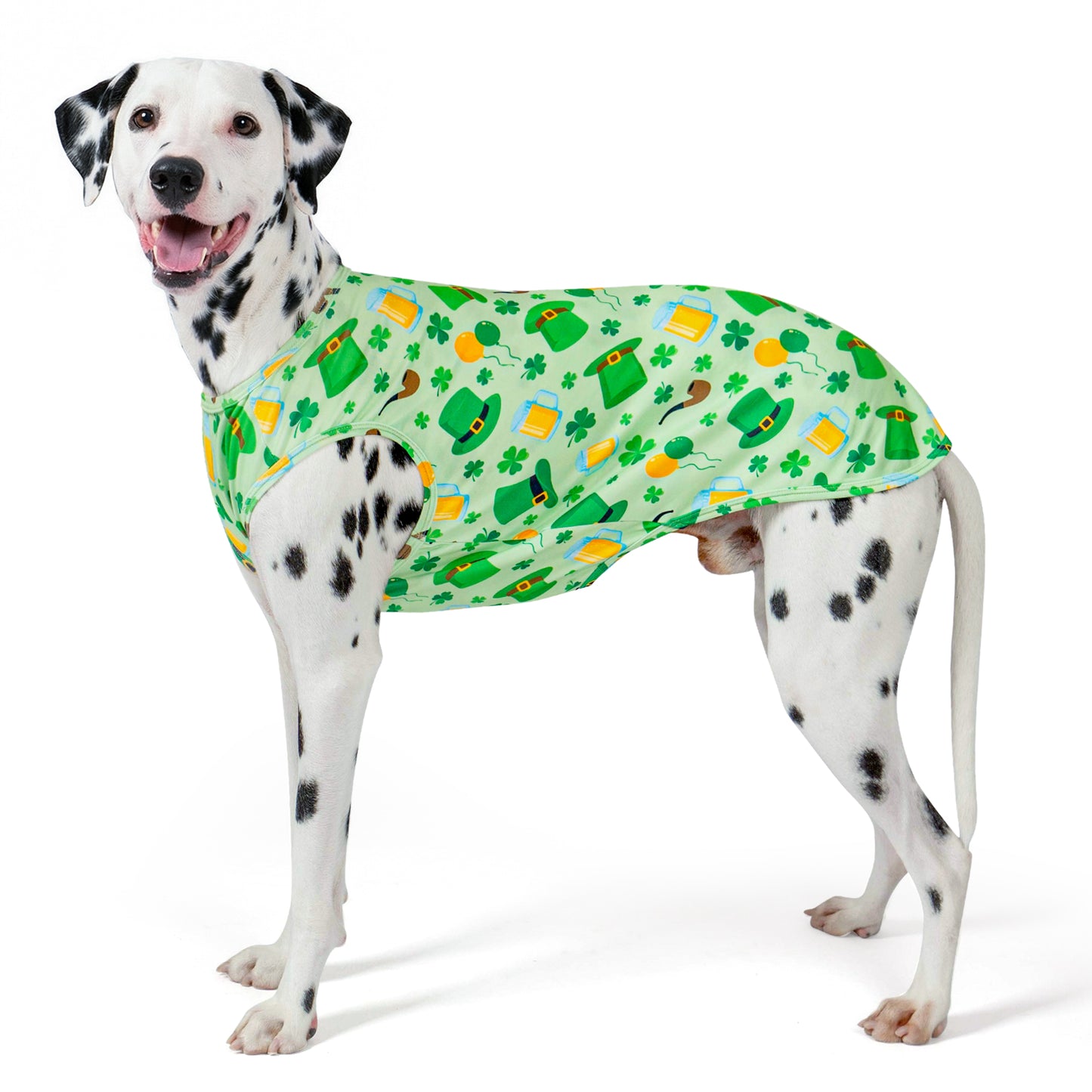 Green and white sleeveless dog shirt with shamrocks and coin pattern