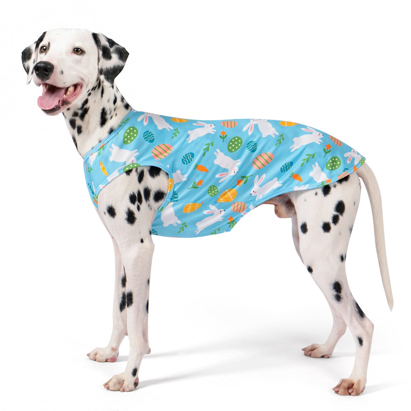 Sleeveless Easter dog shirt in light blue with colorful bunny and egg print, on Dalmatian.