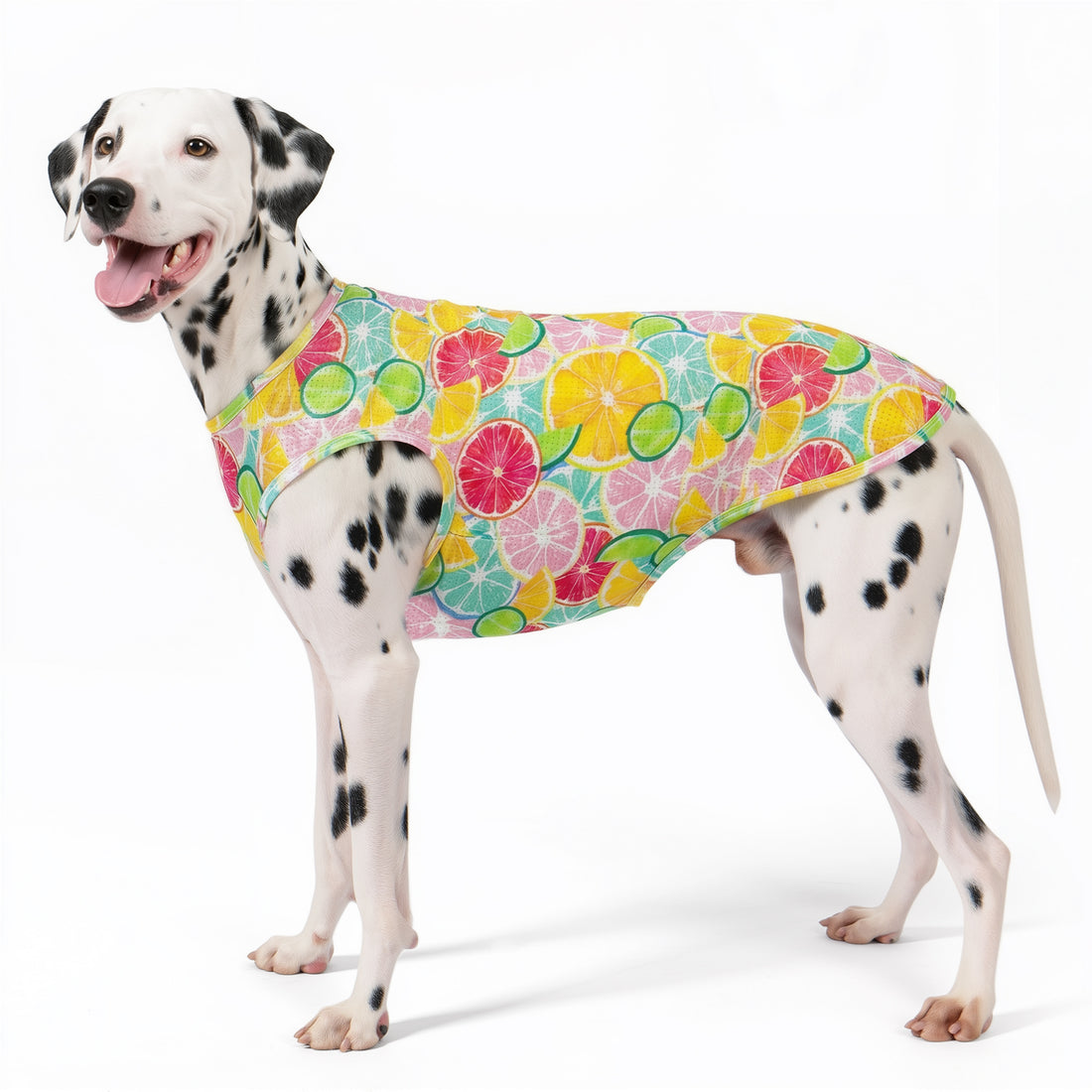 Multicolor fruit patterned mesh dog shirt with curved hem and arm openings
