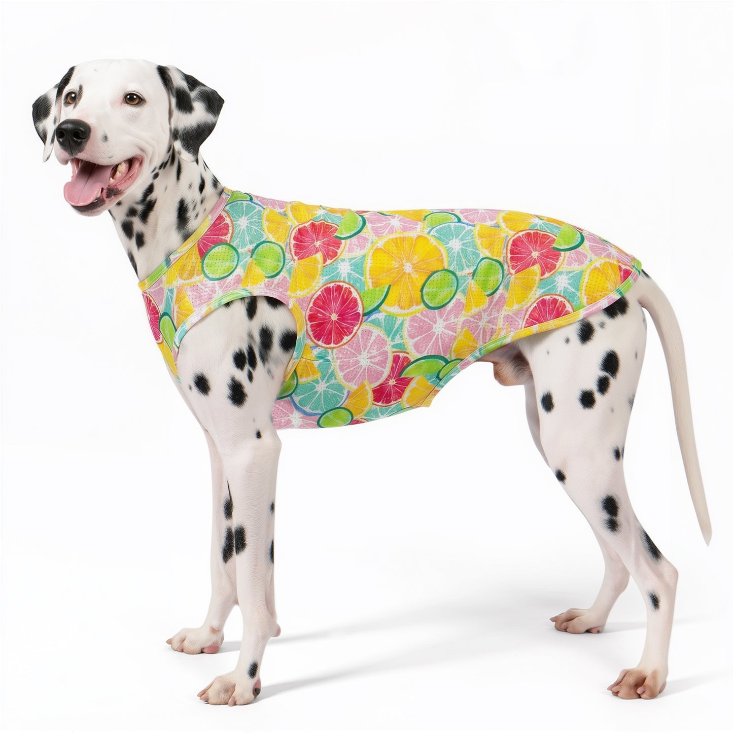 Multicolor fruit patterned mesh dog shirt with curved hem and arm openings