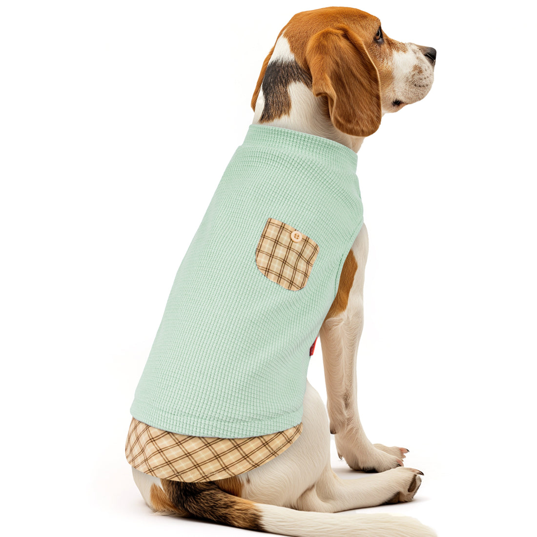 Light green sleeveless dog shirt with tan plaid pocket and plaid hem