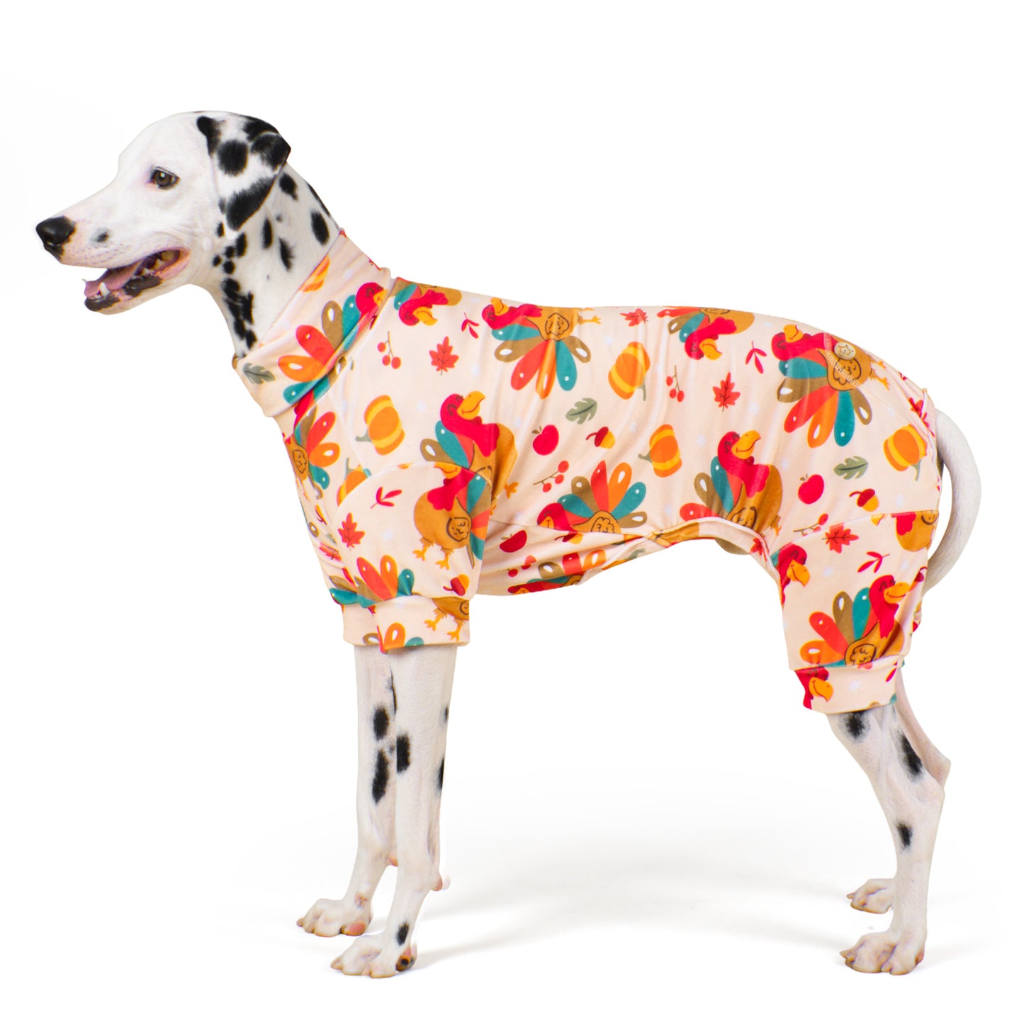 Dog onesie pajamas in cream with colorful turkey, leaf, and pumpkin pattern