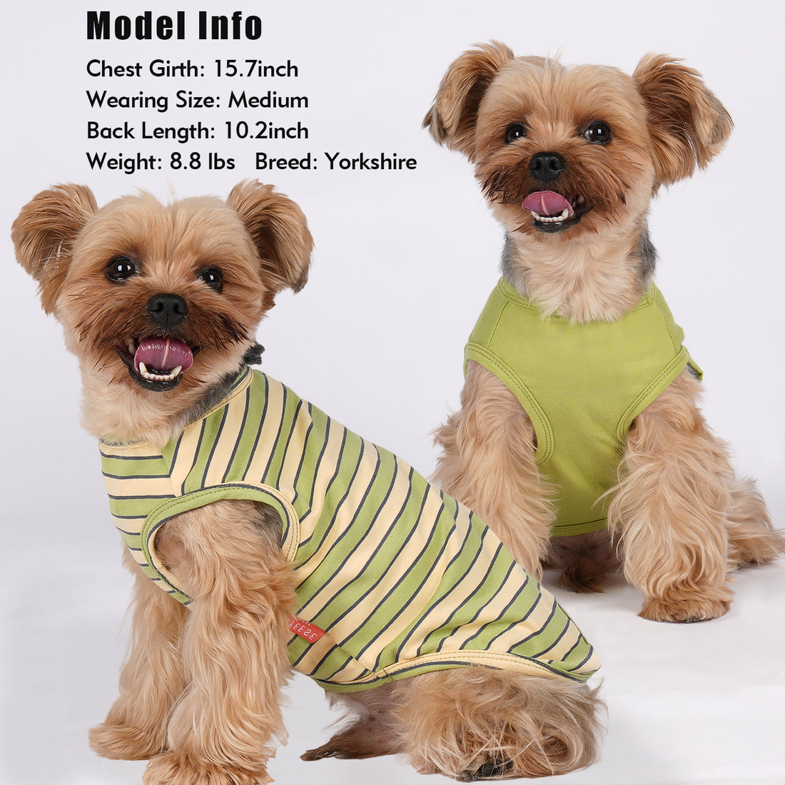 Two-piece dog shirt set on a model: green solid and green-striped