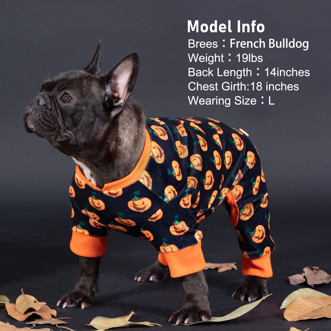 Dog Halloween pajamas in dark navy with orange pumpkin print and orange ribbed cuffs