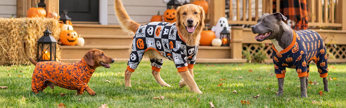HALLOWEEN STYLE FOR EVERY PUP