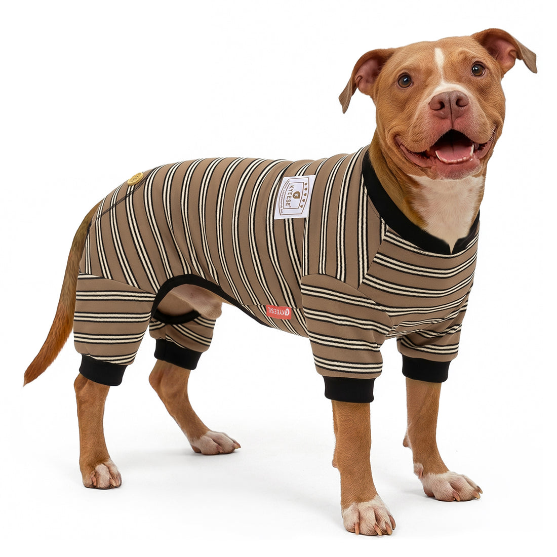 Striped dog onesie pajamas on a tan dog, brown and cream stripe pattern