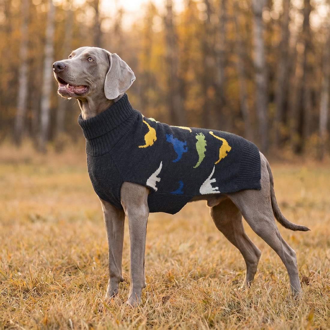 Black Dinosaur Dog Pullover Sweater - gallery image 10