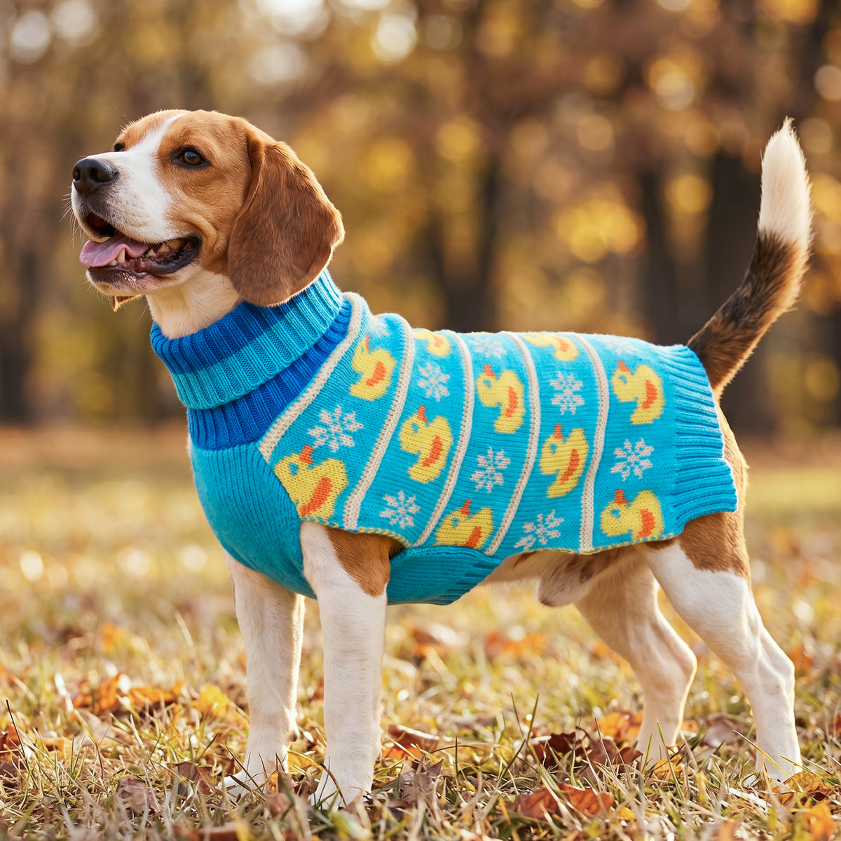 Blue Duck Dog Pullover Sweater - gallery image 6