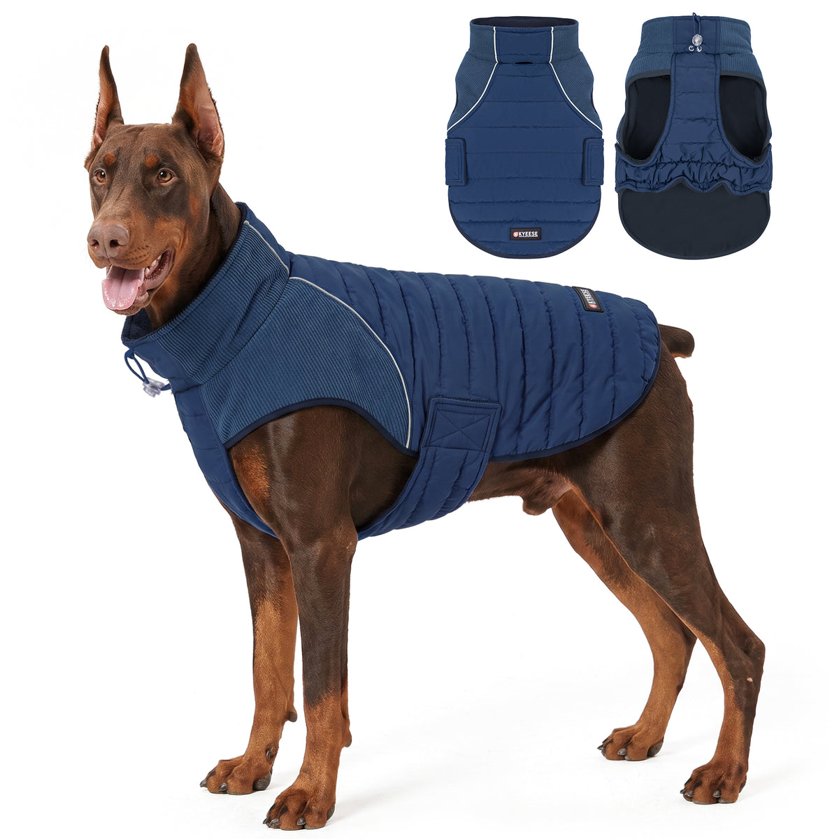 Brown large dog standing in a blue lined coat beside front and underside flat lays