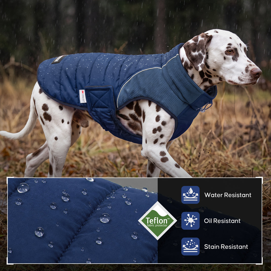 Spotted dog modeling a blue coat above a close-up of water beading on the fabric