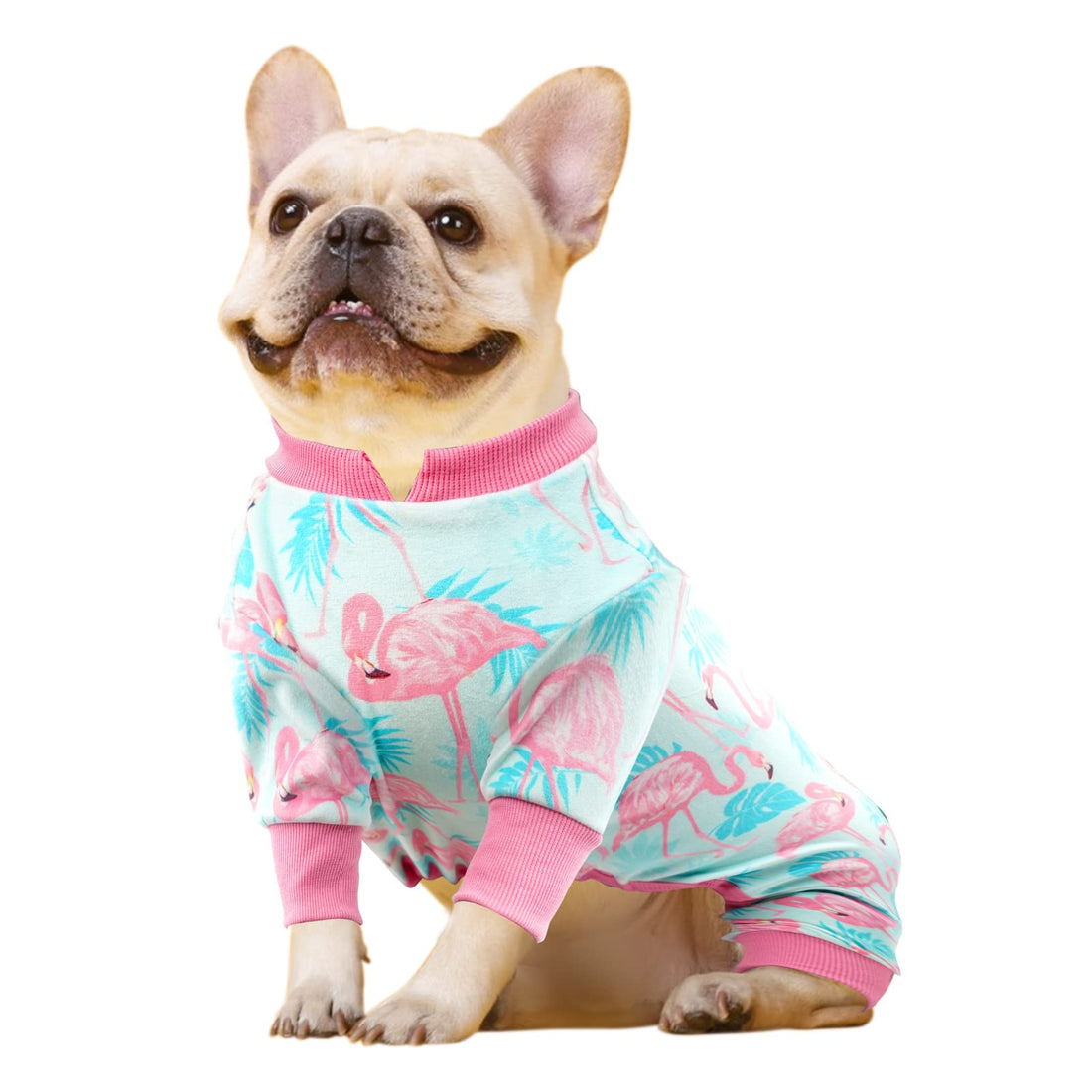 Flamingo print dog onesie pajamas in light aqua with pink cuffs worn by small dog