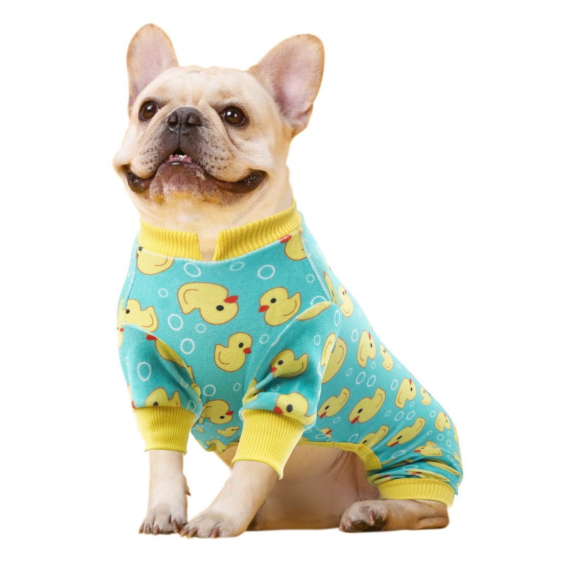 Dog onesie pajamas in teal with duck print and yellow ribbed collar