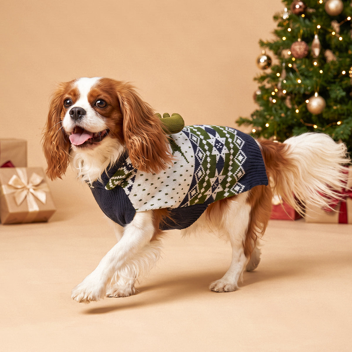 Spaniel wearing navy green Christmas reindeer hooded sweater beside a Christmas tree
