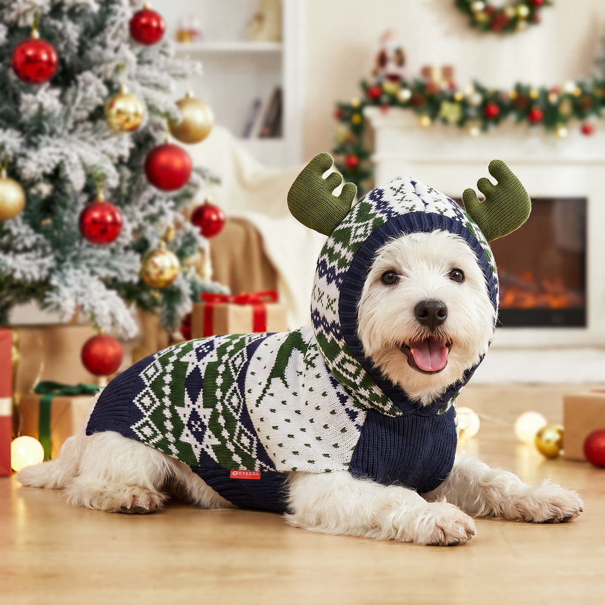 White dog wearing the navy green reindeer sweater with olive antlers over its head