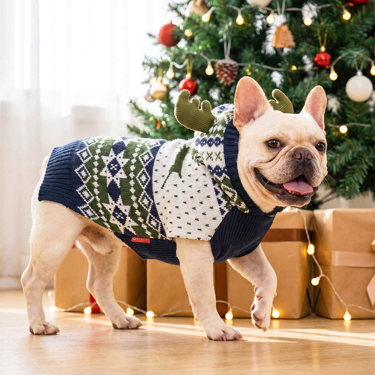 French bulldog wearing navy green Fair Isle reindeer antler hooded sweater by a Christmas tree