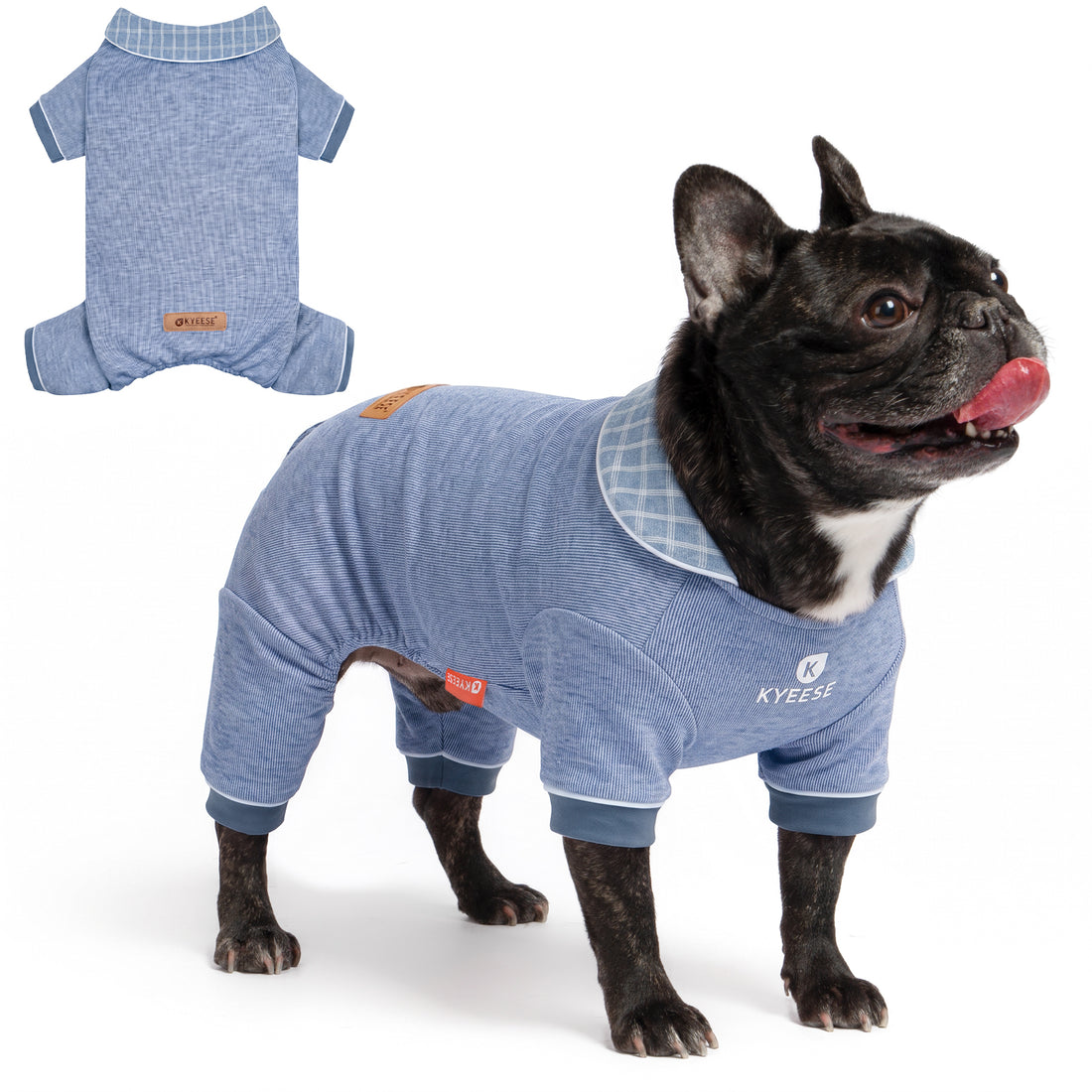 Small black French bulldog wearing blue collared thermal dog pajamas beside a flat lay