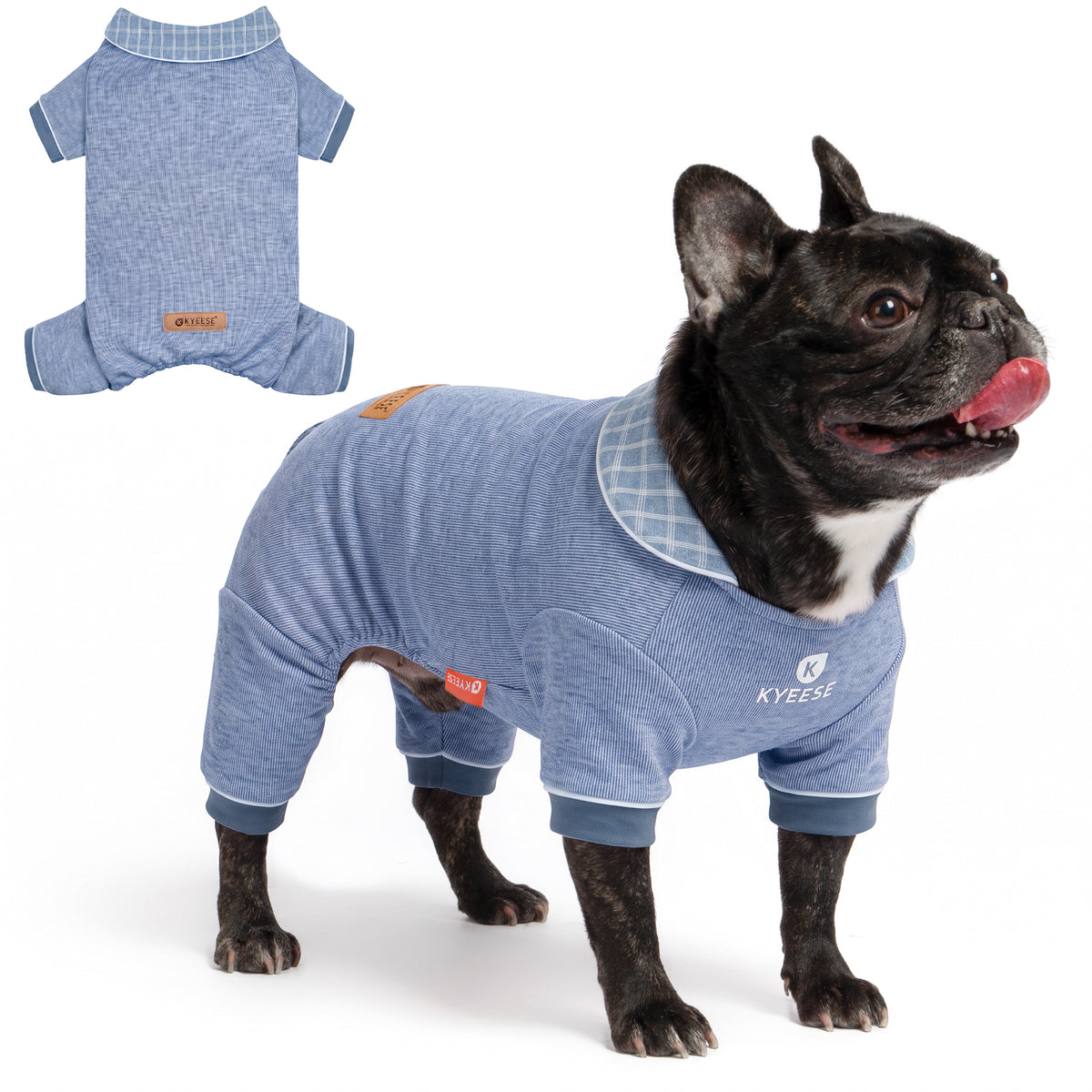 Small black French bulldog wearing blue collared thermal dog pajamas beside a flat lay