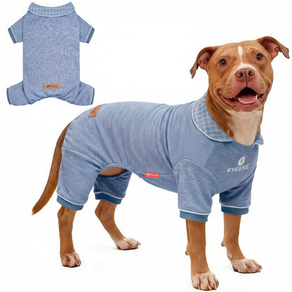 Large brown dog wearing blue ribbed collared thermal dog pajamas beside a flat lay
