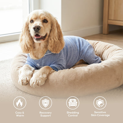 Spaniel resting in blue collared thermal dog pajamas on a soft dog bed
