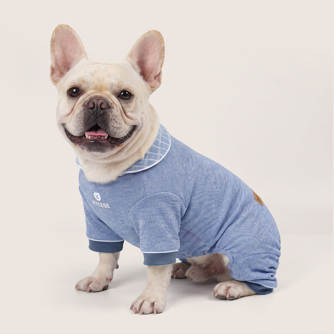 Cream French bulldog sitting in blue collared thermal dog pajamas