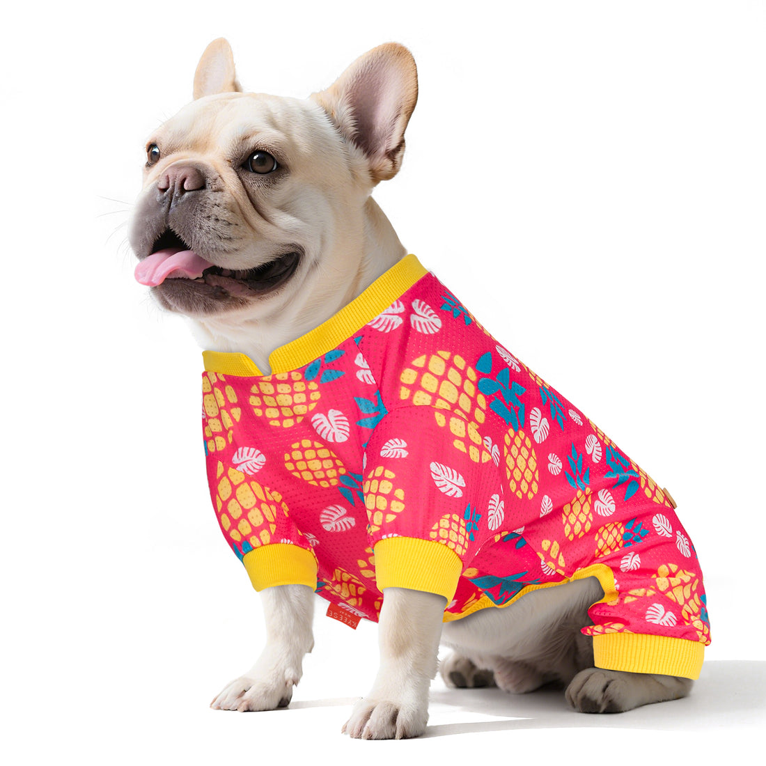 Red dog onesie pajamas with yellow collar and colorful pineapple-pattern print