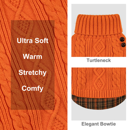 Orange dog turtleneck sweater with cable knit pattern, ribbed hem, and two buttons