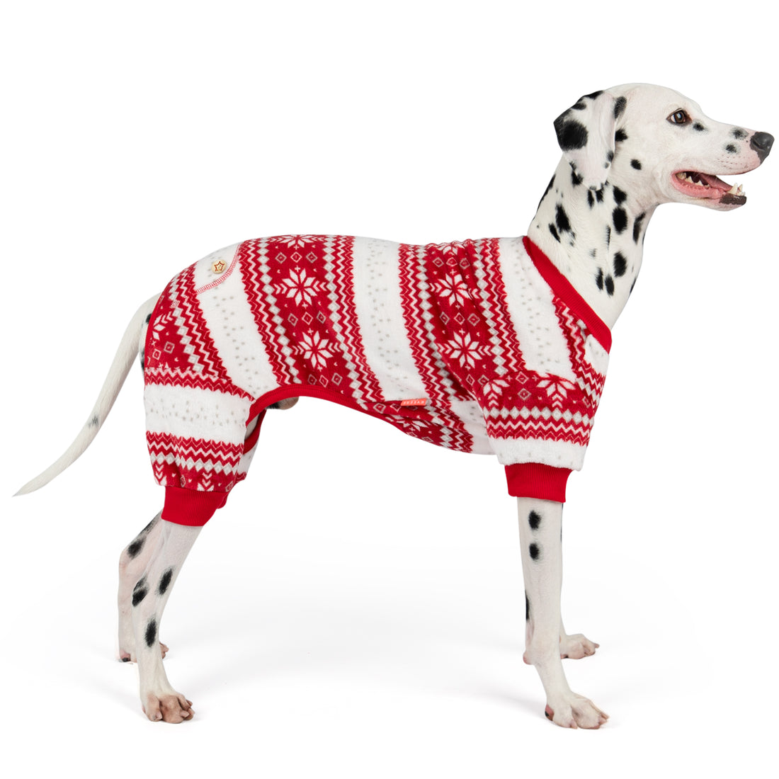 Dalmatian wearing red and white snowflake Christmas pajamas with ribbed cuffs