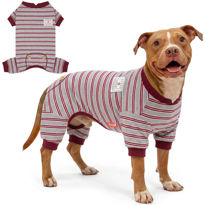 Brown dog standing in gray and burgundy dog onesie pajamas beside flat lay