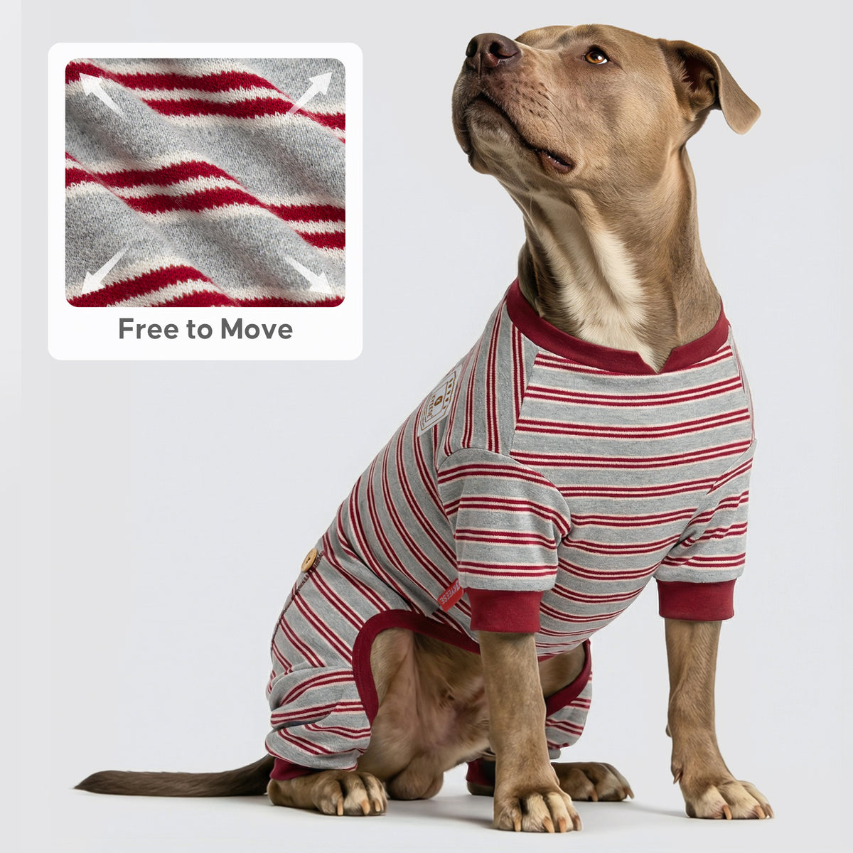 Tan dog seated in gray striped onesie with burgundy neck and leg cuffs