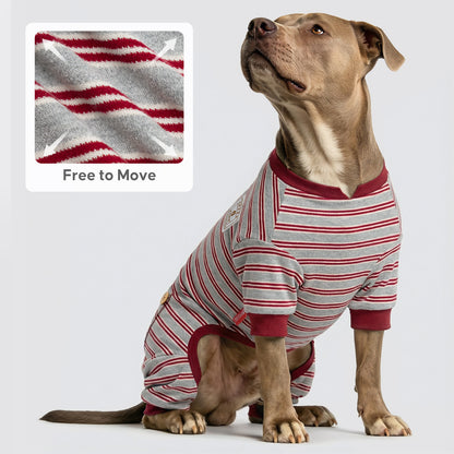 Tan dog seated in gray striped onesie with burgundy neck and leg cuffs