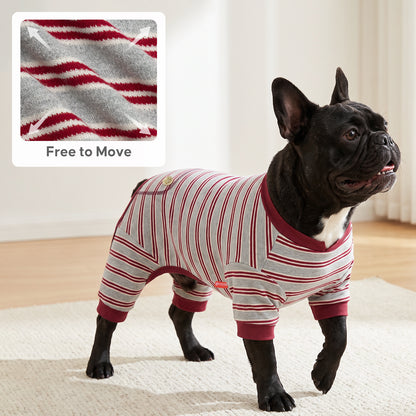 Black French bulldog walking indoors in gray and burgundy striped onesie