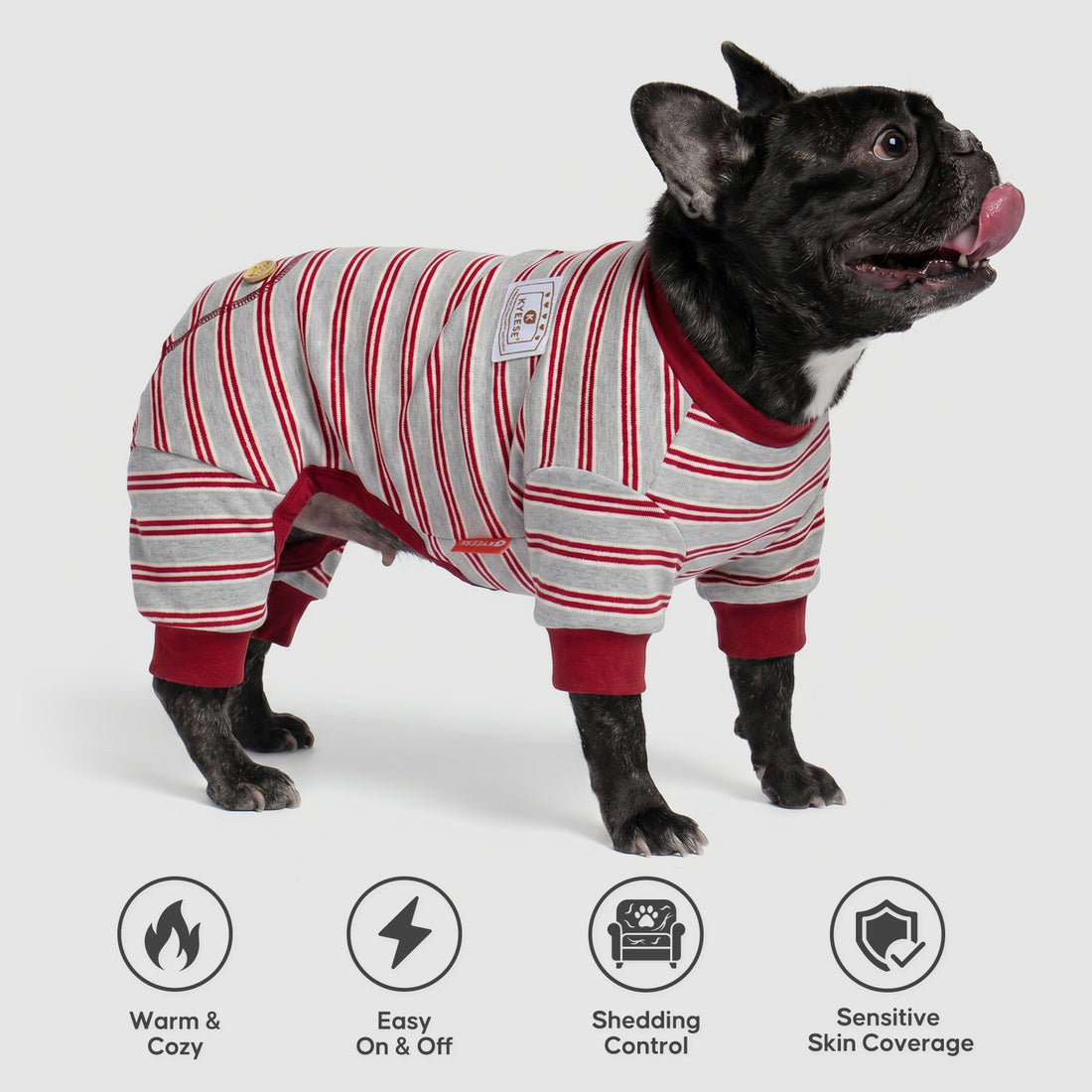Black French bulldog standing in gray striped dog pajamas, side view