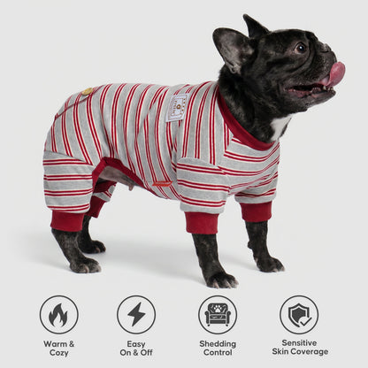 Black French bulldog standing in gray striped dog pajamas, side view